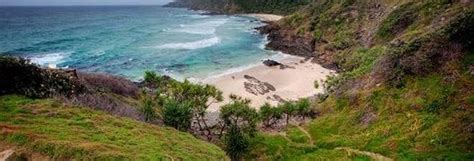 Maybe you would like to learn more about one of these? Our Byron Bay Caravan Park's Best Kept Bush Walking Secrets
