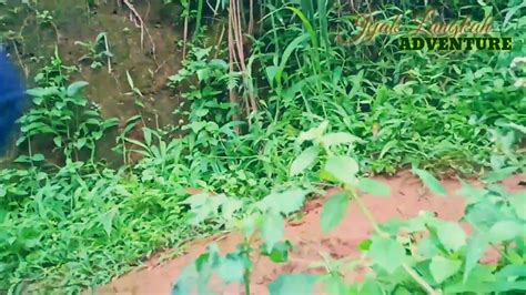 Maybe you would like to learn more about one of these? Film pendek Keindahan Alam Sumedang versi Bahasa Inggris - YouTube