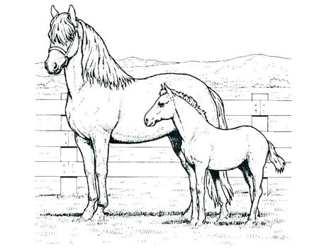 Free printable mustang coloring pages for kids. Mustang Horse Coloring Pages Printable at GetColorings.com ...