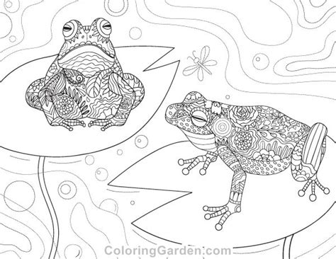 Big frog coloring page from frogs category. Free printable frog adult coloring page. Download it in ...