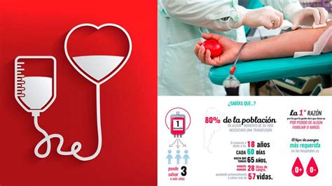 Aunque, este 2020, debido a la pandemia por coronavirus, será una jornada muy distinta: Día del donante de Sangre, preocupa la pobre adhesión de ...