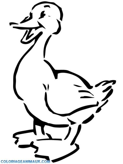 Aujourd'hui, nous allons voir comment faire quelques dessins qui sont connus pour être assez compliqués à dessiner et qui posent souvent problème aux débutants. Coloriage canard de la montagne | Coloriage, Canard dessin, Dessin