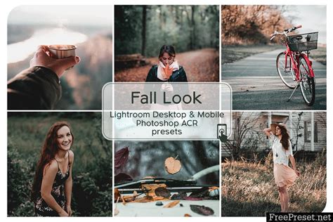 Lrtemplate xmp dng atn | 11 mb. Fall Look Lightroom Desktop and Mobile Presets 2689825