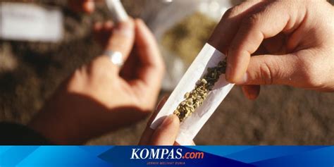 Kaedah pelaksanaan hukuman mati di malaysia adalah menerusi teknik hukuman gantung. 5 WNI Diduga Selundupkan 230 Kg Ganja, Terancam Hukuman ...