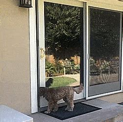 There are so many benefits to installing a pet door that you and your companion will enjoy including Wayzn: Open Sliding Glass Doors Remotely To Let Dog Out ...