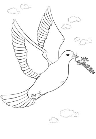 Search images from huge database containing over 620,000 coloring pages. Peace Dove with Olive Branch Coloring page | Peace ...