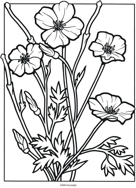 Flowers are so cheery that i want to brighten your day too! Wildflowers Drawing at GetDrawings | Free download