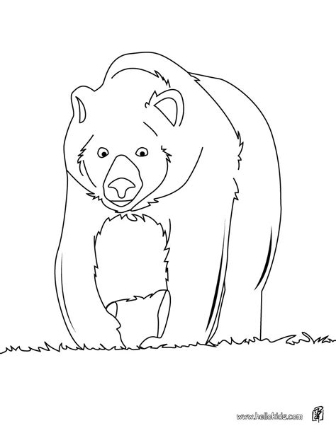 35+ brown bear brown bear coloring pages for printing and coloring. Brown bear coloring pages download and print for free