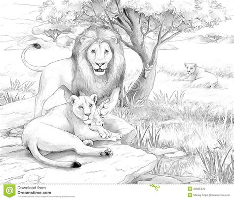 The realistic drawings of lion will. Safari - lions stock illustration. Illustration of animal ...