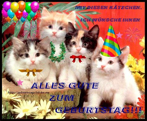 Lustige sprüche um dem geburtstagskind zum geburtstag zu. Katze (4 | Geburtstagsbilder, Herzliche geburtstagsgrüße, Geburtstagswünsche katze