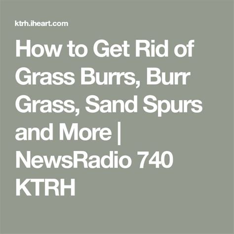 How to get rid of tall grasses. How to Get Rid of Grass Burrs, Burr Grass, Sand Spurs and ...
