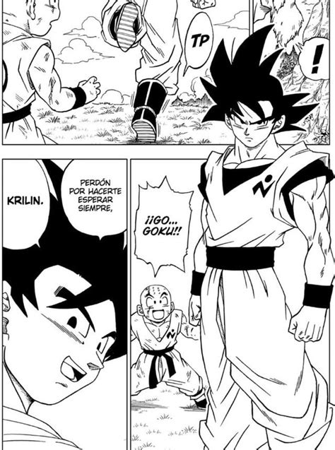 Authored by akira toriyama and illustrated by toyotarō, the names of the chapters are given as they appeared in the english edition. Dragon Ball Super: la triunfal llegada de Goku en el ...