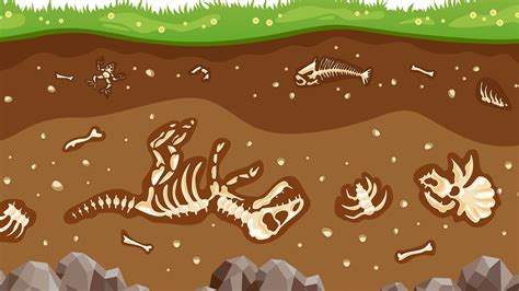 Radiocarbon dating provides the age of organic remains that overly glacial sediments. Radiocarbon dating dinosaur bones puzzle. How Do ...