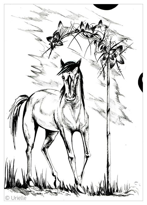 The horses are small and big, purebred and simple, cartoony and real, for different tastes are presented in our coloring book. Card Game : the 8 sacred animals - Coloring Pages for Adults