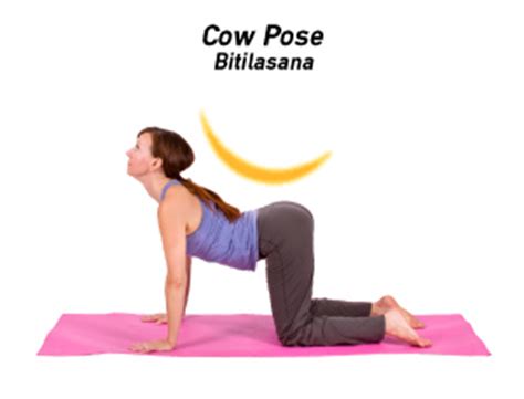 Find relief with yoga using a cat to cow pelvic tilt. How to Do Cat-Cow Pose in Yoga