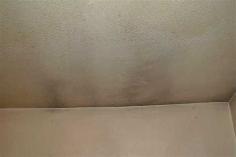 Have you ever carefully not only does the black mold occupy the ceiling but also it easily adapts to the porous surroundings such as drywall, rug, fabrics as well as the wooden furniture. mold on ceiling bedroom