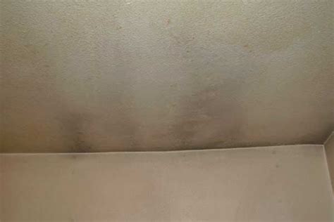 Meaning there's probably more unseen damage on the upper side of the ceiling cavity. mold on ceiling bedroom