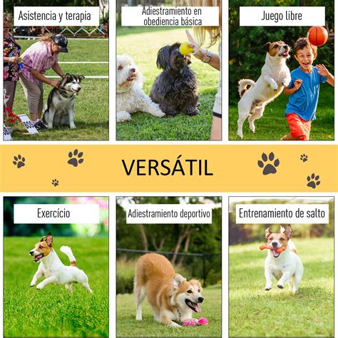 Nos sentimos muy bienaventurados con las mascotas, pero ¿ qué ocurre si no se sienten satisfechos con nosotros?. Conjunto 4 Obstáculos de Entrenamiento para Perro Set de ...