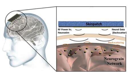 Most people believed this magical world as myths and fiction stories. Fully Implantable Wireless Brain Computer Interface ...