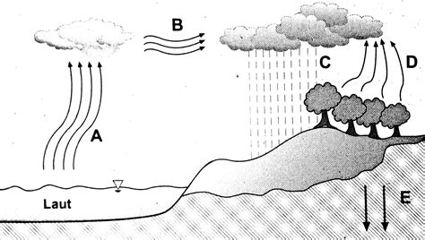 Definisi dan pengertian dari evaporasi adalah peristiwa perubahan air atau es menjadi uap dan naik ke atmosfir, peristiwa tersebut berlangsung dari semua permukaan, misalnya. Soal UN Siklus Hidrologi ~ GEOGRAPIK