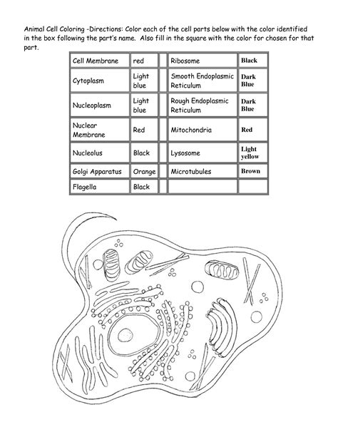 You could also print the picture by clicking the print button above the image. Animal Cell Coloring Page - Coloring Home