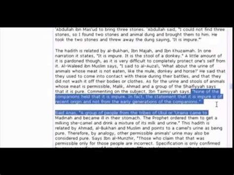 Maulana sheikh makki al hijazi اونٹ کا پیشاب پینا ؟ In Islam Baby girls pee is unpure Baby boys pee animals ...