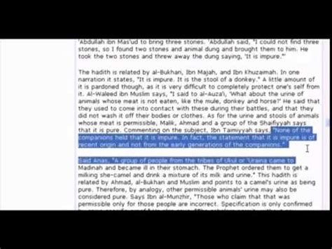 Their knowledge of islam and arabic culture is mostly bookish, through the prism of orientalism whose mistakes they slavishly reduplicate. In Islam Baby girls pee is unpure Baby boys pee animals ...