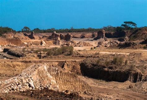 It operates through the following segments: Nickel producer DMCI sees tough year with mine shut ...