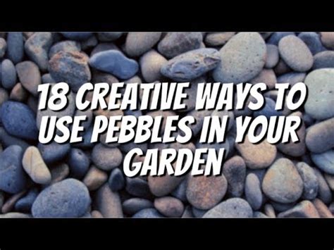 If yes, then garden pebbles are the best options that you can opt for. Garden Pebbles at Best Price in India