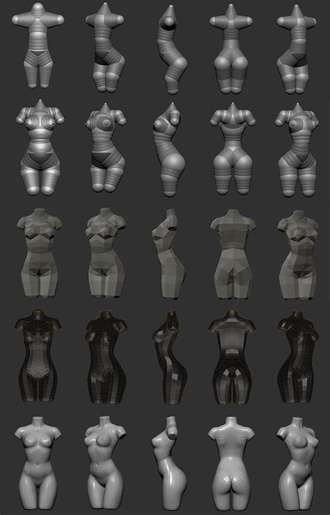 Download files and build them with your 3d printer, laser cutter, or cnc. Zbrush: Creating woman torso from Zspheres step by step ...