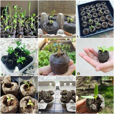 We did not find results for: Pods are the easiest way to start your seeds - indoors or ...