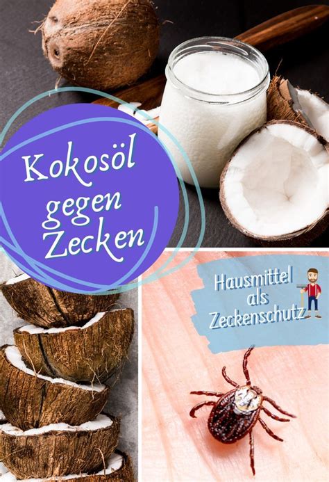 In katzenkot können sich erreger von salmonellen befinden ✓ sechs katzen sind individuelle wesen, was bei der einen nicht hilft, wirkt bei der anderen umso besser. Kokosöl gegen Zecken Hausmittel - Tierischer Garten ...