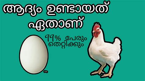 Introduction this is an iq test loosely modeled after raven's progressive matrices. 5 malayalam iq test questions / brillant IAS questions ...