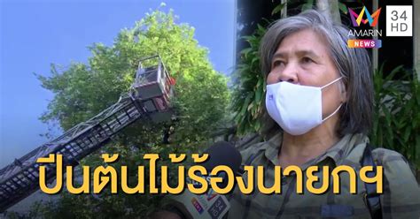 'ป้าเป้า' ขวัญใจชาวม็อบ โดนตั้งข้อหาหนัก หลังถูกเจ้าหน้ … ป้าปีนต้นไม้ ร้องนายกฯ ถูกบุกรุกที่ดิน ทำร้ายร่างกาย