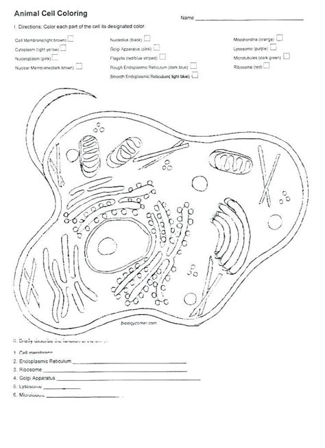 Check spelling or type a new query. Animal Cell Coloring Worksheet Plant and Animal Cell ...