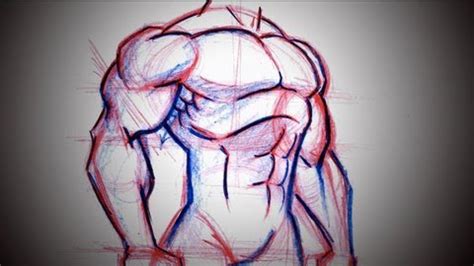 The back muscles, which stretch across both the upper and lower back. How To Draw Superhero Chest