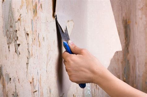 Ruime keuze uit standaard (glas)vliesbehang, renovlies en glasvezelbehang. Verwijderen van oud behang | Probleemloos van de muur ...