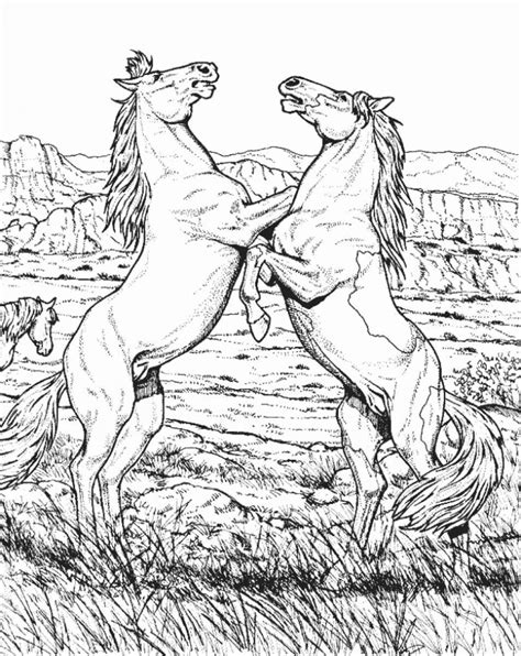 Printable realistic horse coloring pages for adults. Pin on Coloring ~ Detailed