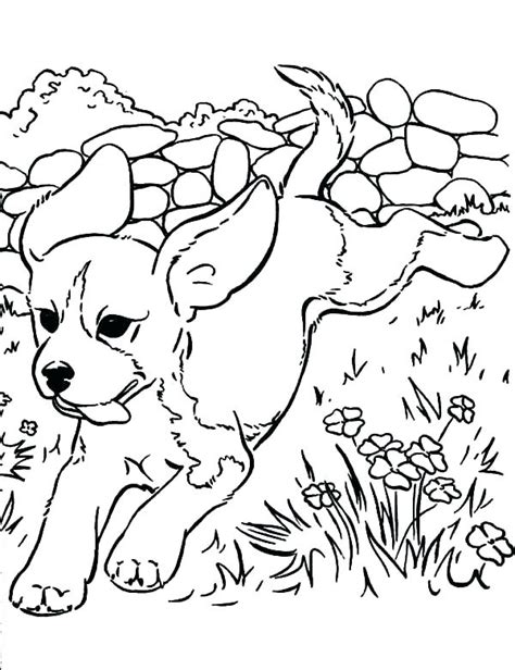 The siberian husky is a sled dog of medium size. Coloring Pages Of Husky Puppies at GetColorings.com | Free ...