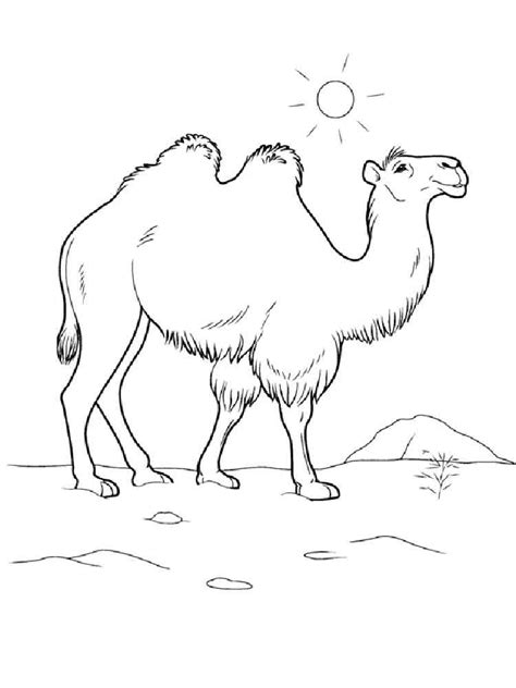 For your kids drawing can gorw their brain. Desert coloring pages. Download and print Desert coloring ...