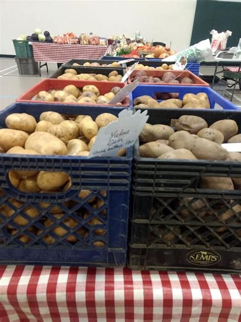 And it originally called for 1 1/4 lbs of baking potatoes, thinly sliced. Vegetables, Russet Potatoes, 5 lb