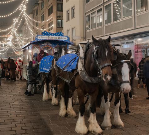 Du befindest dich auf pfadi winterthur ergebnis seite im handball/schweiz bereich. Kein Rösslitram, Adventsbus, Weihnachtsmarkt und ...