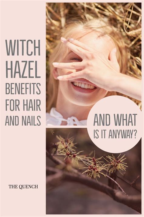 Witch hazel can even be used on the hair when you just don't have time to do a full shampoo and condition. Ready for some magic? | What is witch hazel, Hair skin, Skin