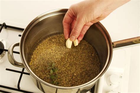 But if you still have reservations about giving raw green beans to your pet, you can choose to cook them before serving. Find Out How to Prepare Lentils | How to cook lentils ...