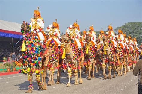 Organised by the department of tourism, art and culture, the city celebrates the festival in honour of the ship of the dainik bhaskar (in hindi). Bikaner Camel Festival 2020 in India, photos, Festival ...