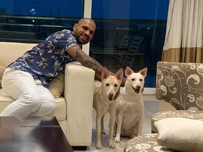 She rose to prominence in 2010, when she won a. Shikhar Dhawan welcomes two new 'family members' | Off the ...