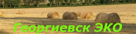 ФЕРМЕРСКИЕ ПРОДУКТЫ Георгиевск 26 | ОНЛАЙН РЫНОК-Натуральных продуктов ...