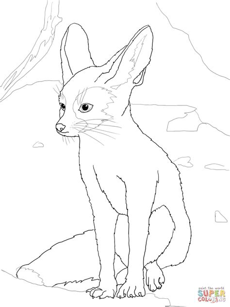 I rlly dont want any more animals to come to animal jam, thats the reason why i left in the first place lmao. Fennec Fox Drawing at GetDrawings | Free download