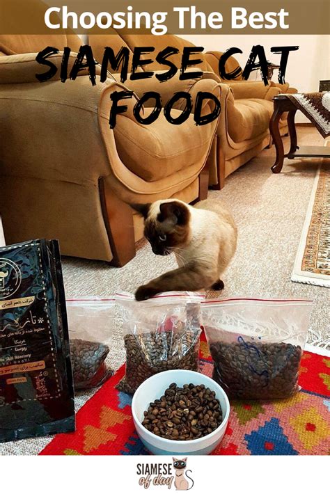 Best wet cat food for sensitive stomach, diarrhea, and vomiting: Best Cat food for Siamese Cats | Best cat food, Cat food ...