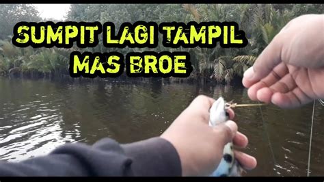 Karya agung melayu mei 2013. Spot Ini Dihuni banyak Ikan Sumpit // Kalimantan Tengah ...